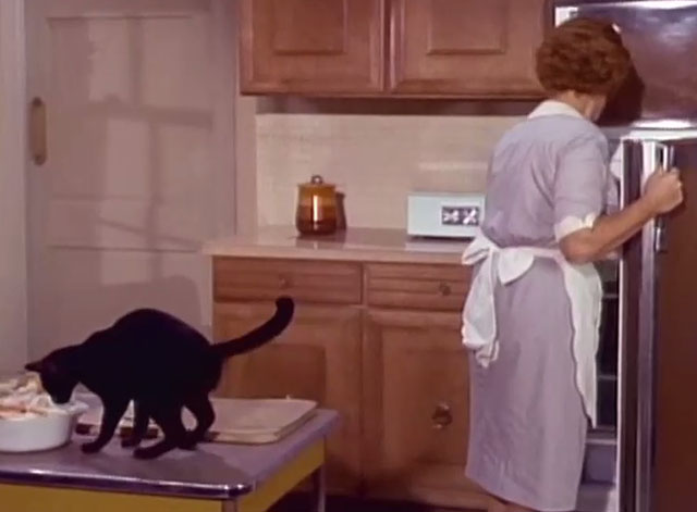 Hazel - Kindly Advise - Hazel Shirley Booth with black cat eating food on counter behind her