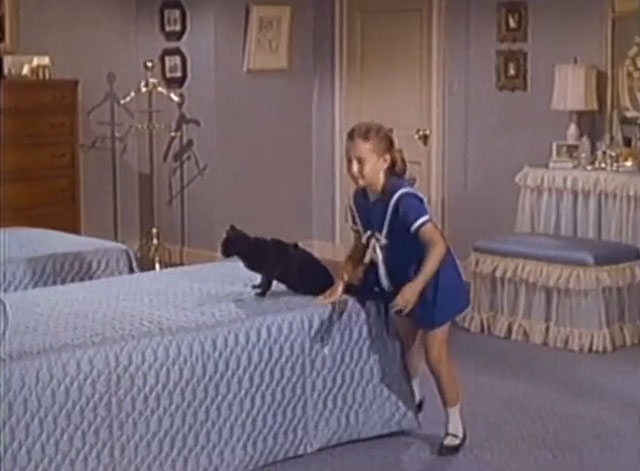 Hazel - Hazel's Endearing Young Charms - black cat placed on bed by Susie Julia Benjamin