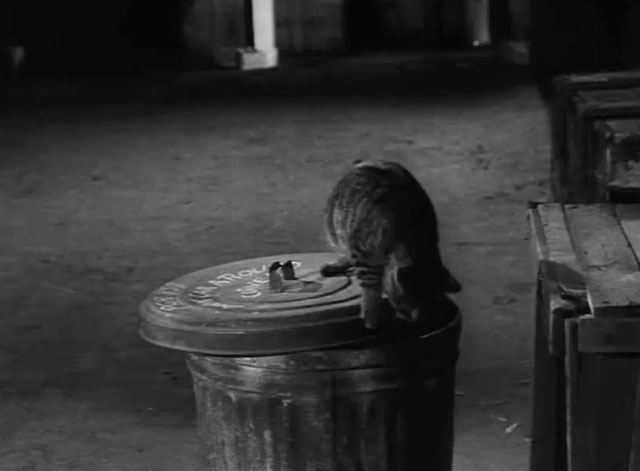 Honey West - The Perfect Un-crime - tabby cat on garbage can