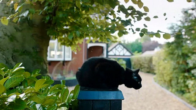 Inside No. 9 - Paraskevidekatriaphobia - black cat on fence post