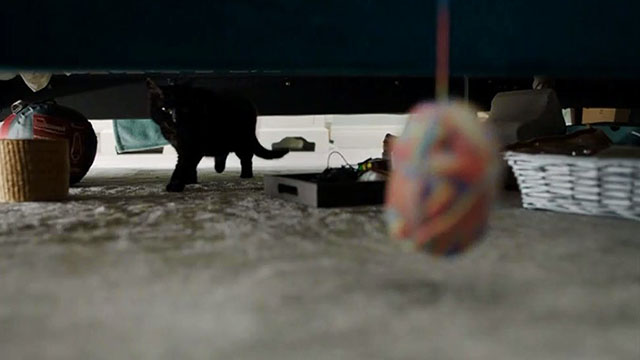 Inside No. 9 - Paraskevidekatriaphobia - black cat approaching ball of yarn under bed