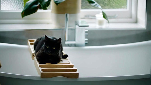 Inside No. 9 - Paraskevidekatriaphobia - black cat lying on bathtub tray