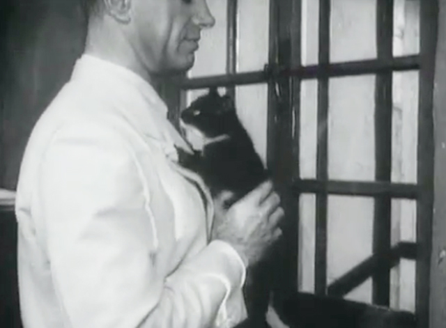 Interpol Calling - Pipeline - black and white kitten being picked up by Inspector Duvall Charles Korvin