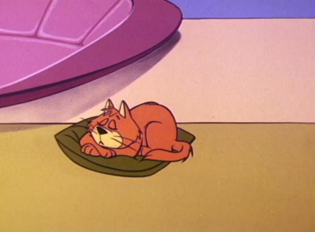 The Jetsons - Dude Planet - orange cat sleeping on pillow