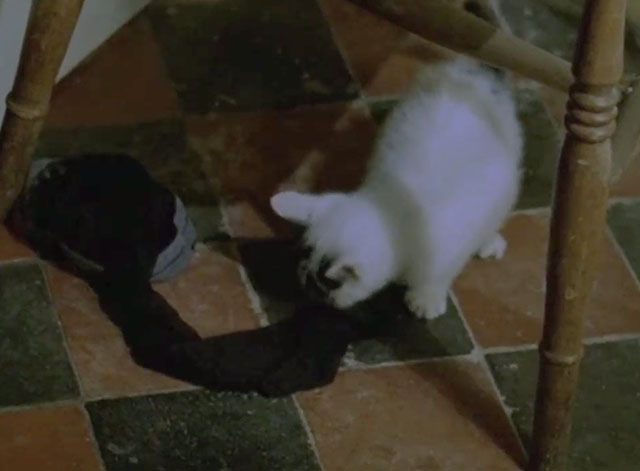 Jonathan Creek - The Problem at Gallows Gate, part 1 - white kitten playing with stocking on kitchen floor