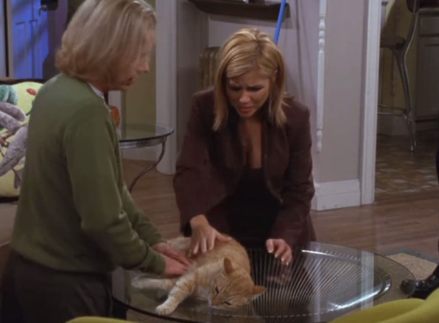 Just Shoot Me - Finch Chasing Amy - Finch David Spade doing CPR on ginger and white tabby cat Mr. Caramel with Amy Tiffani Thiessen