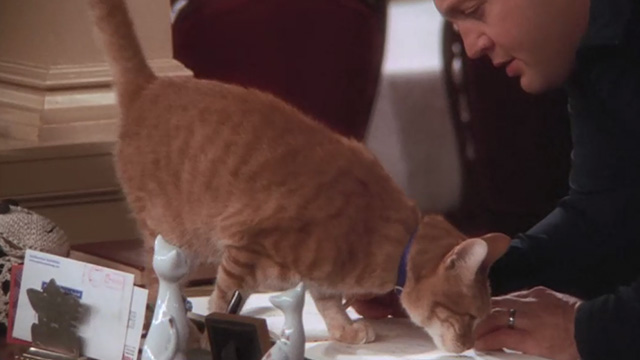 The King of Queens - Inn Escapable - Doug Kevin James tries to sign register with orange tabby cat Marmalade in way