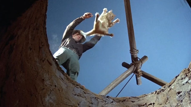 Kung Fu - Nine Lives - ginger tabby cat being dropped down well by Caine David Carradine