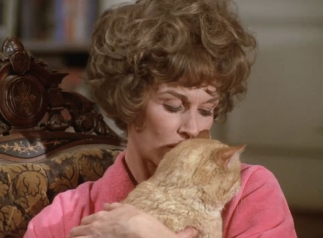 Mannix - Odds Against Donald Jordan - Frances Nan Martin kissing ginger tabby cat Sammy