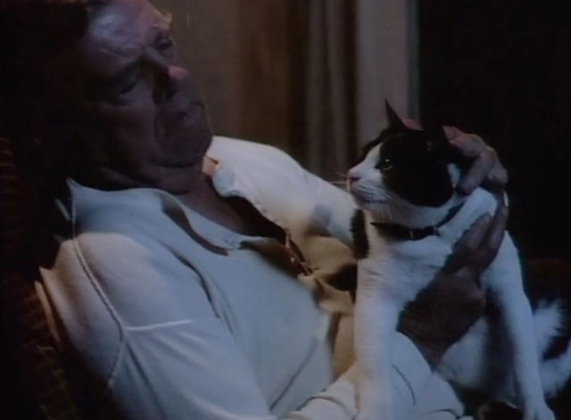 Matlock - Santa Claus - Tom McCabe Pat Hingle sitting in chair with tuxedo cat Jonathan