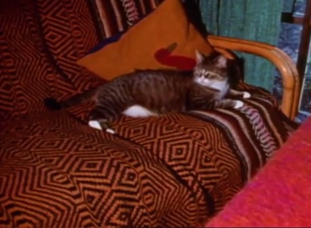 Mister Rogers' Neighborhood - mama tabby cat lying on couch