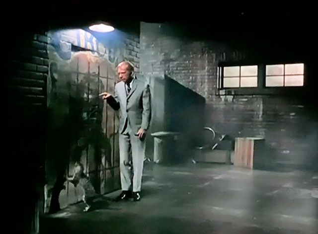 My Favorite Martian - Butterball - gray tabby cat pawing at wall with Uncle Martin Ray Walston in alley