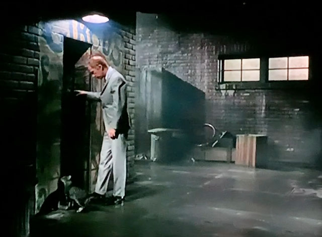 My Favorite Martian - Butterball - gray tabby cat walking through wall with Uncle Martin Ray Walston in alley