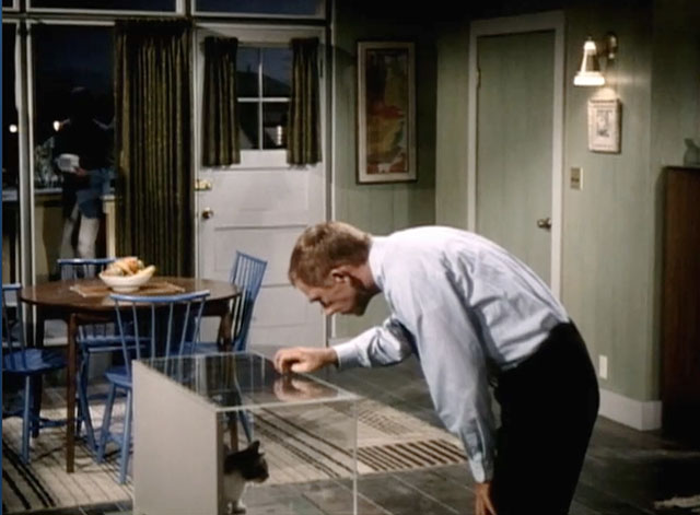 My Favorite Martian - I'd Rather Fight Than Switch - Martin Ray Walston looking at gray tabby and white cat in glass case