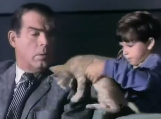 My Three Sons - The Littlest Rebel - boy handing Steve Fred MacMurray a tiny ginger tabby kitten in movie theater