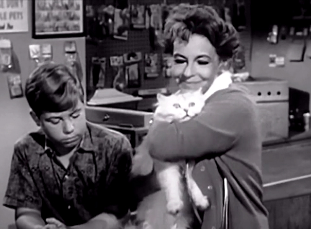 My Three Sons - The Practical Shower - long haired white cat in pet shop with Chip Stanley Livingston and Miss Olander Shirley O'Hara