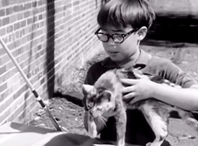 My Three Sons - The Practical Shower - Ernie Barry Livingston with tortoiseshell cat