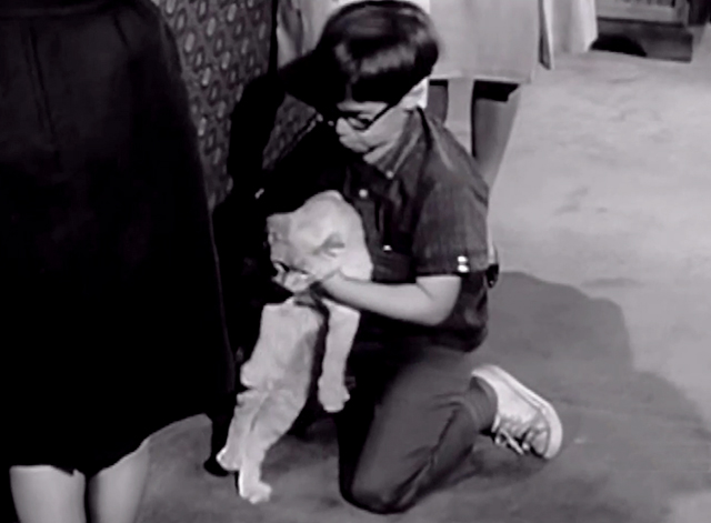 My Three Sons - The Practical Shower - Ernie Barry Livingston pulling tabby cat from underneath couch