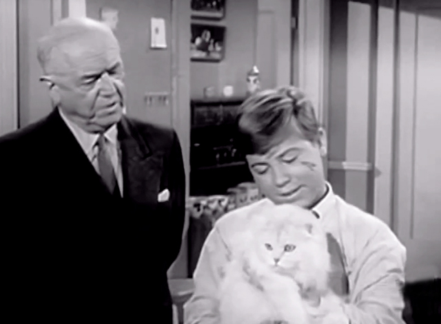 My Three Sons - The Practical Shower - Chip Stanley Livingston holding long haired white cat with Bub William Frawley