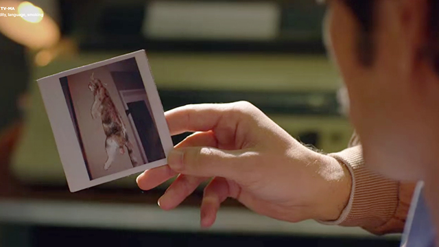 Narcos - The Man of Always - Javier Peña Pedro Pascal looking at Polaroid of calico cat Puff hanging