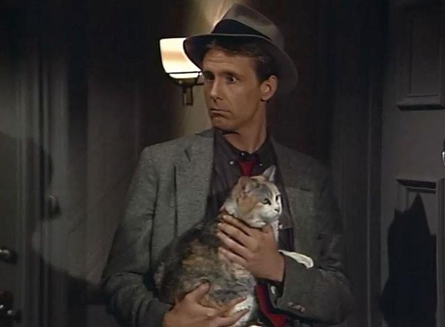 Night Court - The Birthday Visitor - calico cat in arms of Judge Harry Stone Anderson