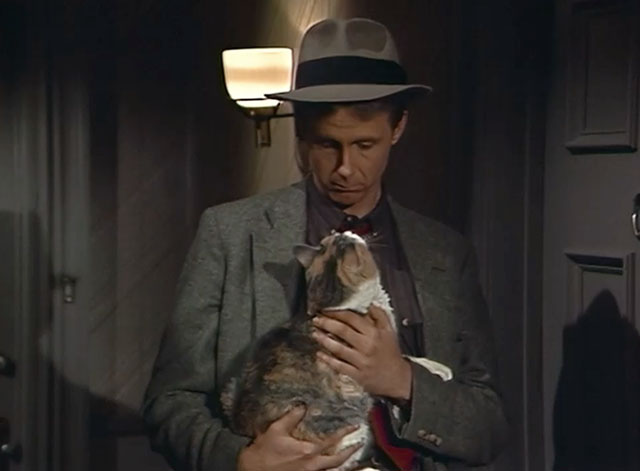 Night Court - The Birthday Visitor - calico cat in arms of Judge Harry Stone Anderson