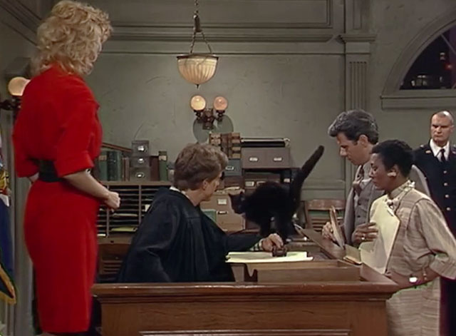 Night Court - Hi Honey, I'm Home - black cat running across Judge Stone Harry Anderson bench with Charley D.D. Howard, Dan John Larroquette, Liz Paula Kelly and Bull Richard Moll watching