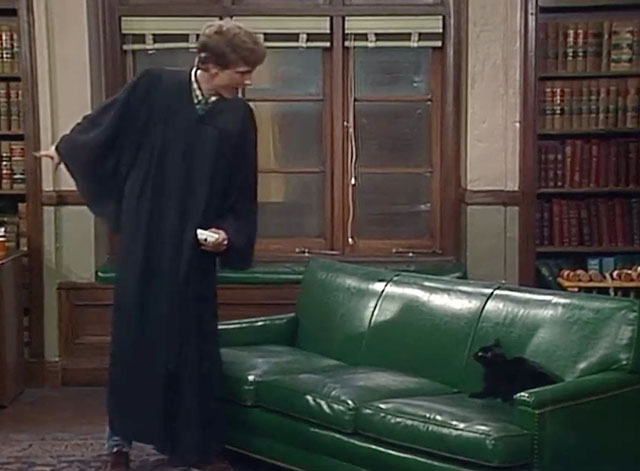 Night Court - Hi Honey, I'm Home - black cat meowing on couch looking up at Judge Stone Harry Anderson