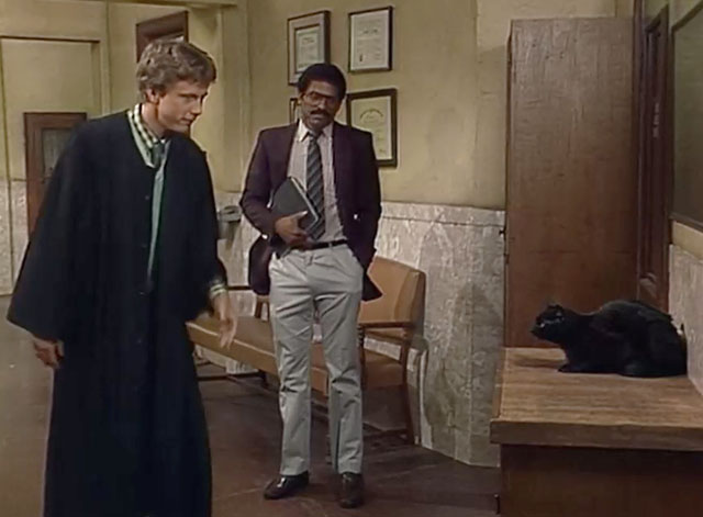 Night Court - Hi Honey, I'm Home - black cat being scolded by Judge Stone Harry Anderson