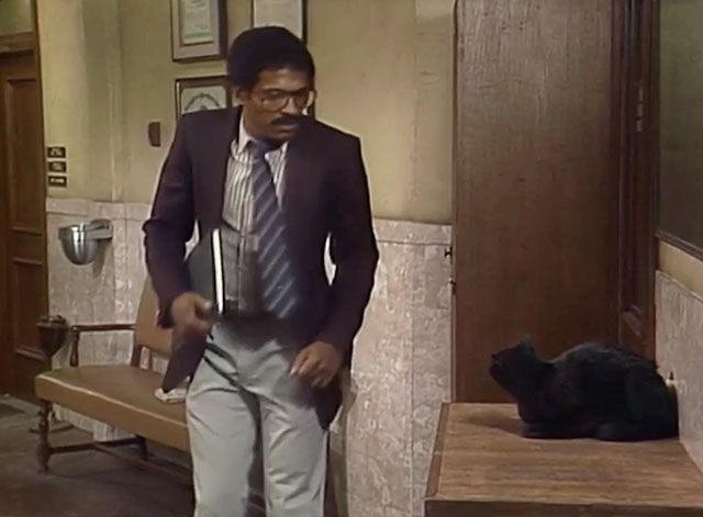 Night Court - Hi Honey, I'm Home - black cat growling at man passing by