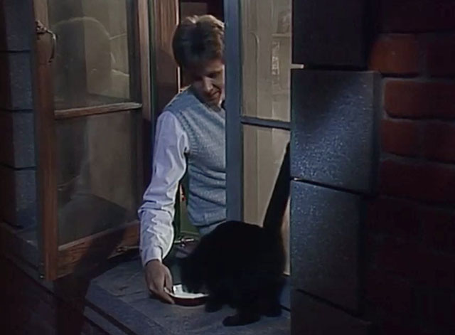 Night Court - Hi Honey, I'm Home - black cat being given saucer of milk on windowsill by Judge Stone Harry Anderson