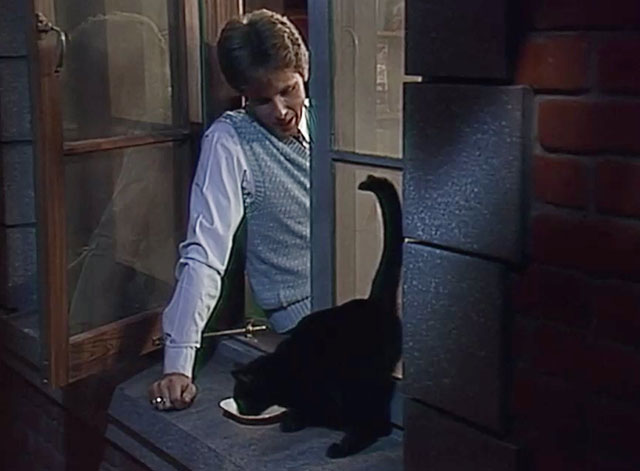 Night Court - Hi Honey, I'm Home - black cat being given saucer of milk on windowsill by Judge Stone Harry Anderson