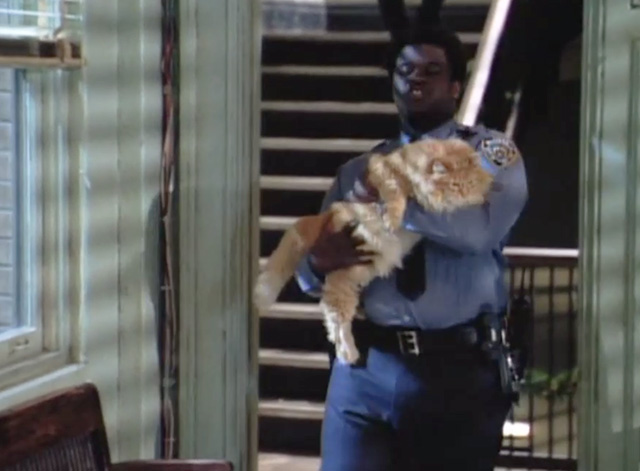 NYPD Blue - From Hare to Eternity - Lucas Markus Redmond entering room with large longhaired ginger tabby cat Big Bad Bert