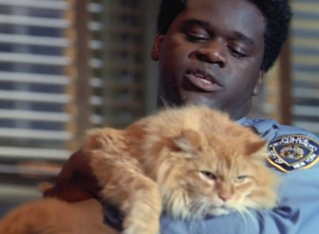 NYPD Blue - From Hare to Eternity - Lucas Markus Redmond holding large longhaired ginger tabby cat Big Bad Bert