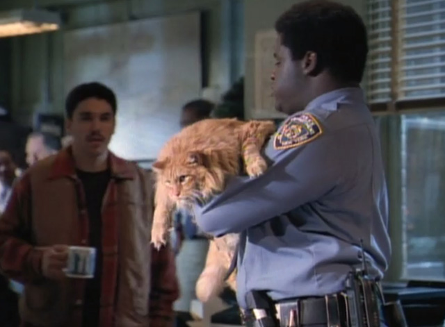 NYPD Blue - From Hare to Eternity - Lucas Markus Redmond holding large longhaired ginger tabby cat Big Bad Bert