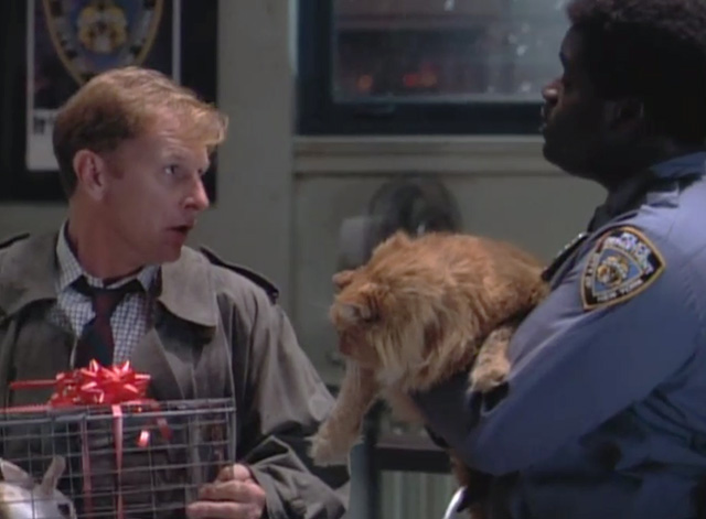 NYPD Blue - From Hare to Eternity - Medavoy Gordon Clapp confronting Lucas Markus Redmond who is holding a large longhaired ginger tabby cat Big Bad Bert