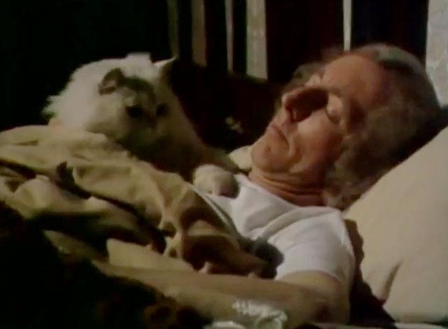 On the Buses - Gardening Time - Jack Bob Grant in bed with white Persian cat Tibbles