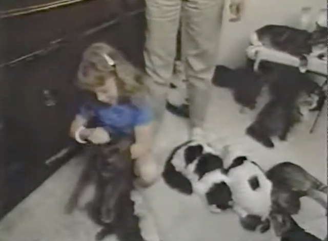 Out of Control - Science - girl on floor with numerous cats