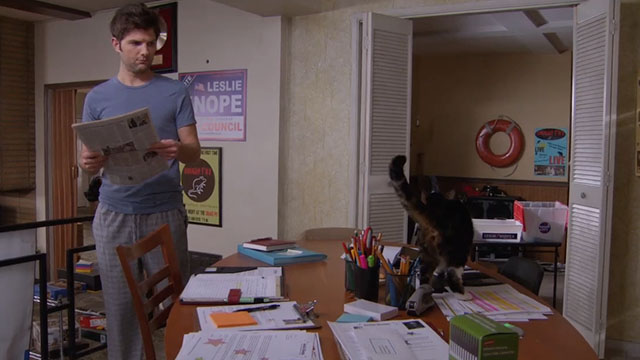 Parks and Recreation - Live Ammo - Ben Adam Scott eyeing brown cat on counter