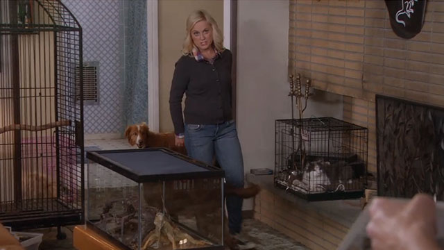 Parks and Recreation - Live Ammo - Leslie Amy Poehler with grey and white cat in cage on fireplace