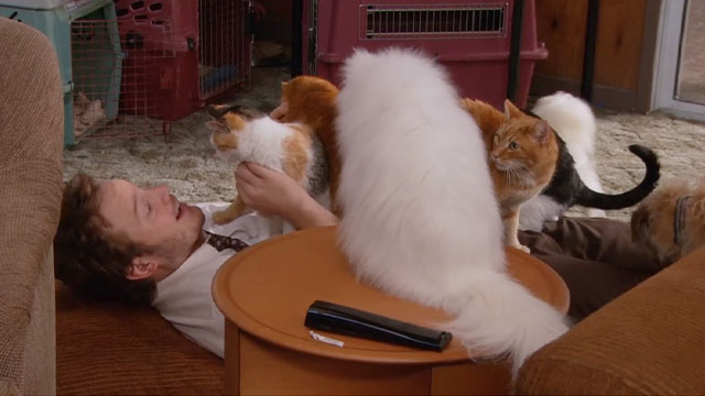 Parks and Recreation - Live Ammo - Andy Chris Pratt with cats sitting on top of him