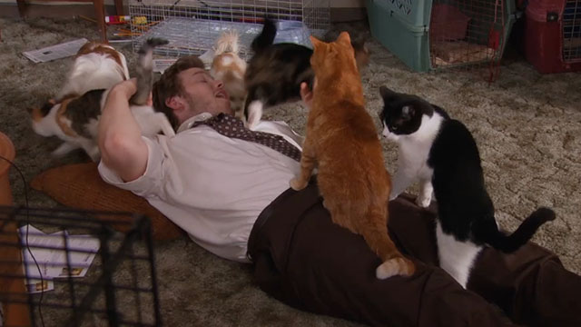 Parks and Recreation - Live Ammo - Andy Chris Pratt with cats sitting on top of him