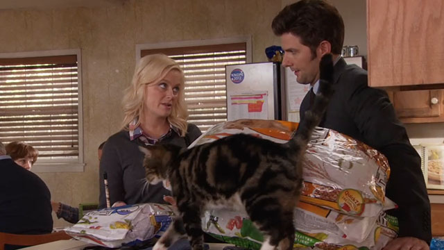 Parks and Recreation - Live Ammo - Leslie Amy Poehler and Ben Adam Scott with brown and white tabby cat on counter