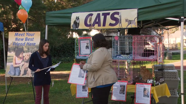 Parks and Recreation - Live Ammo - April Aubrey Plaza and Donna Retta with cats in cages for adoption fair in park