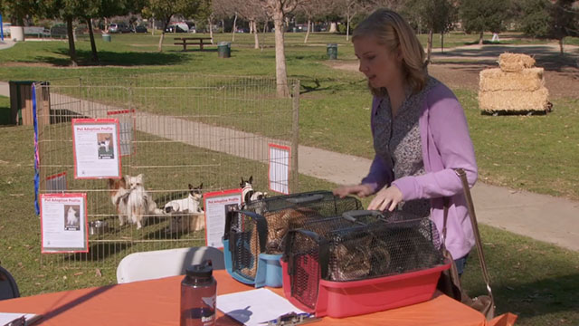 Parks and Recreation - Live Ammo - woman dropping off two tabby cats in carriers