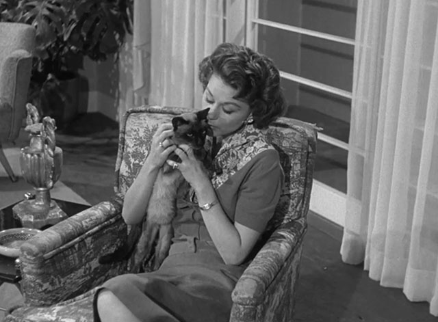 Perry Mason - The Case of the Golden Fraud - Sylvia Joyce Meadows holding Siamese cat