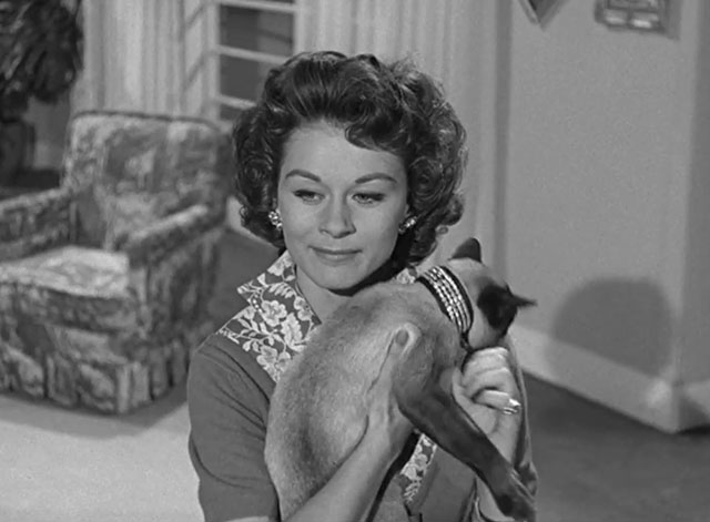 Perry Mason - The Case of the Golden Fraud - Sylvia Joyce Meadows holding Siamese cat