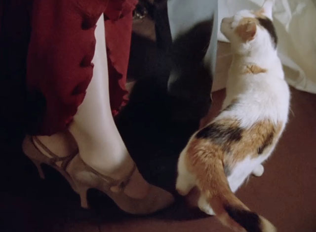 Poirot - The Veiled Lady - calico cat next to woman's leg
