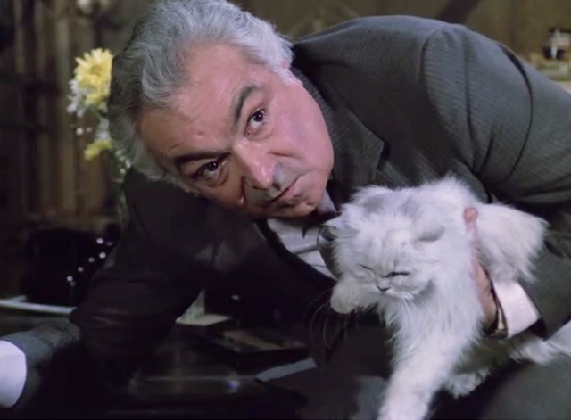 Police Squad! - Rendezvous at Big Gulch - Dutch Al Ruscio with white longhair Persian cat on lap