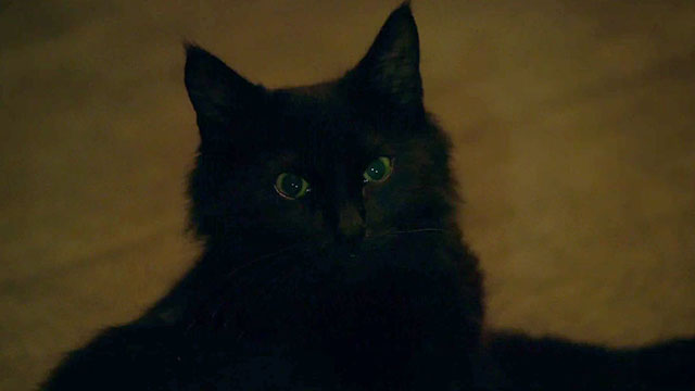 Preacher - Hitler - close up of Eccarius as small black cat